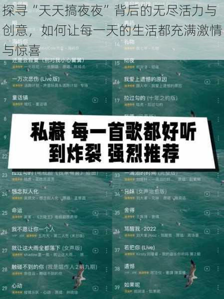 探寻“天天搞夜夜”背后的无尽活力与创意,如何让每一天的生活都充满激情与惊喜