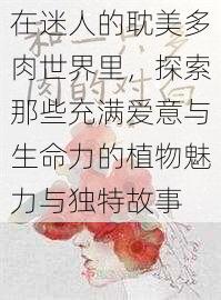 在迷人的耽美多肉世界里,探索那些充满爱意与生命力的植物魅力与独特故事