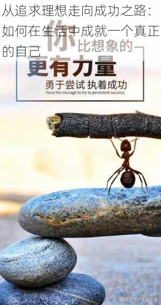 从追求理想走向成功之路:如何在生活中成就一个真正的自己