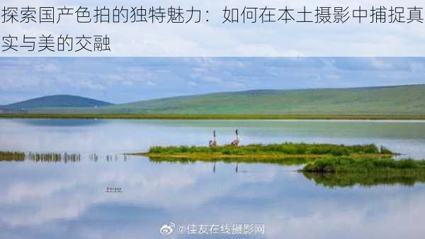 探索国产色拍的独特魅力：如何在本土摄影中捕捉真实与美的交融