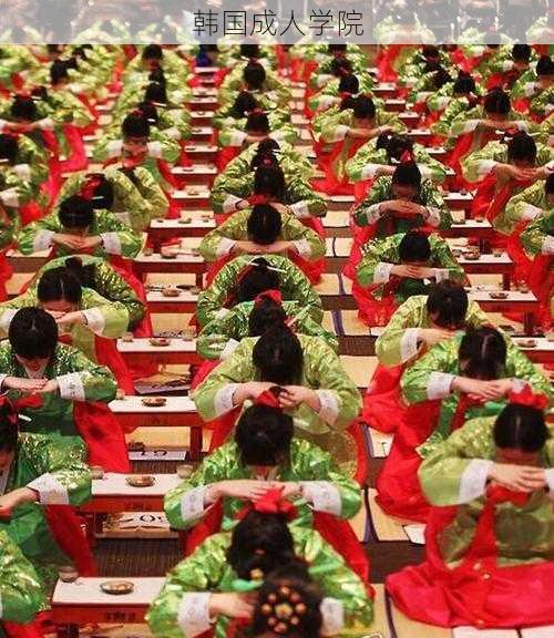 韩国成人学院