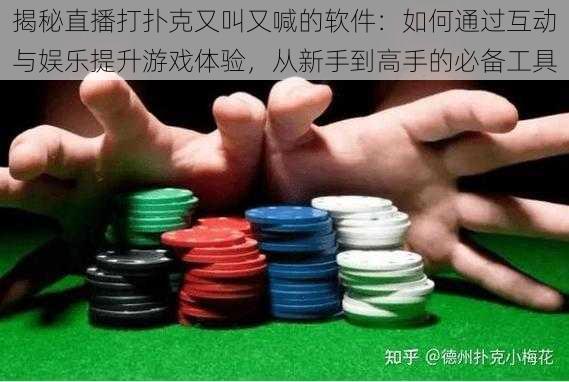 揭秘直播打扑克又叫又喊的软件：如何通过互动与娱乐提升游戏体验，从新手到高手的必备工具