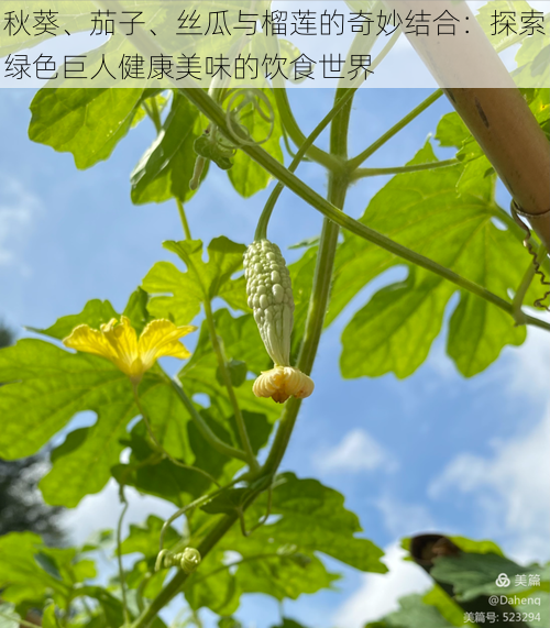 秋葵、茄子、丝瓜与榴莲的奇妙结合:探索绿色巨人健康美味的饮食世界