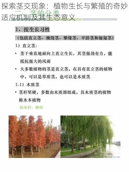 探索茎交现象：植物生长与繁殖的奇妙适应机制及其生态意义