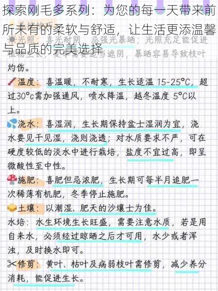 探索刚毛多系列:为您的每一天带来前所未有的柔软与舒适,让生活更添温馨与品质的完美选择