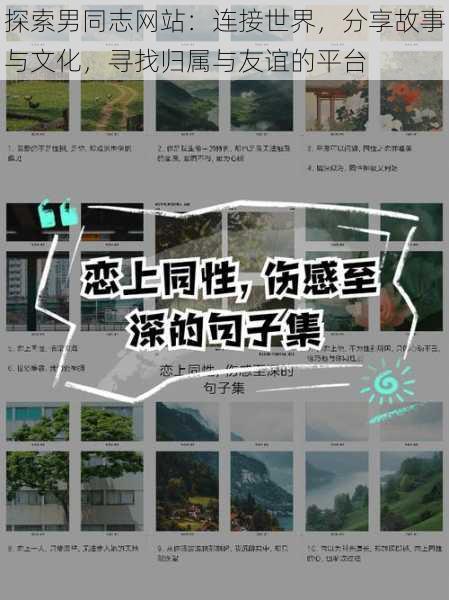 探索男同志网站：连接世界，分享故事与文化，寻找归属与友谊的平台