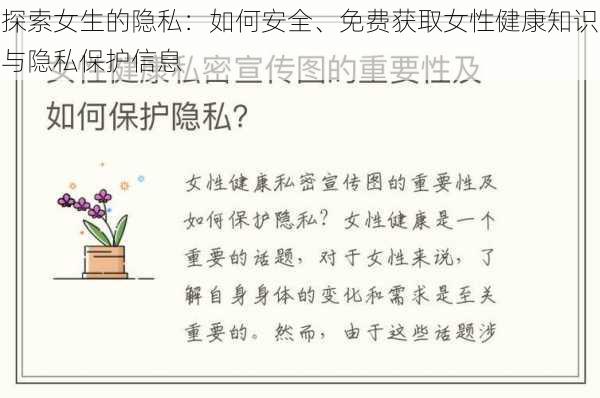 探索女生的隐私:如何安全、免费获取女性健康知识与隐私保护信息