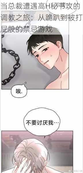 当总裁遭遇高H秘书攻的调教之旅:从跪趴到被打屁股的禁忌游戏