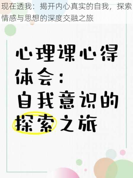 现在透我：揭开内心真实的自我，探索情感与思想的深度交融之旅