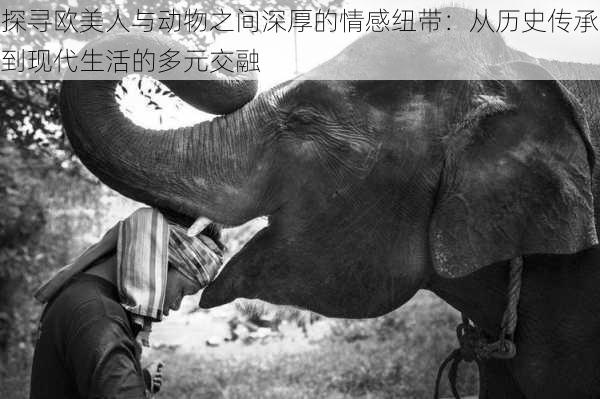 探寻欧美人与动物之间深厚的情感纽带:从历史传承到现代生活的多元交融