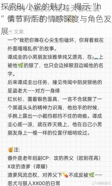 探索BL小说的魅力：揭示“h”情节背后的情感深度与角色发展