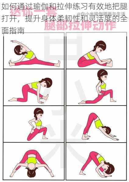 如何通过瑜伽和拉伸练习有效地把腿打开,提升身体柔韧性和灵活度的全面指南