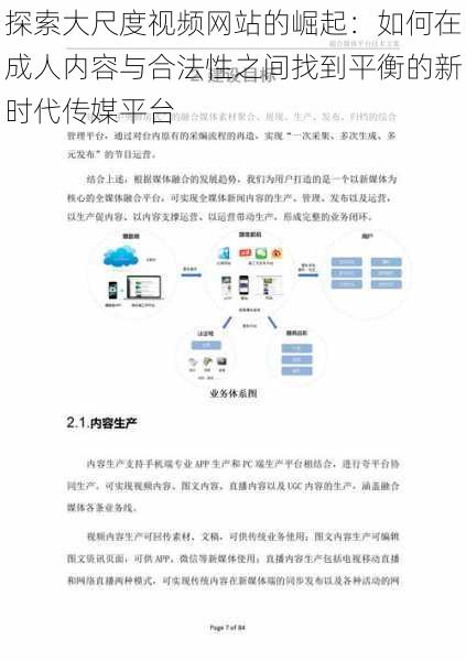 探索大尺度视频网站的崛起:如何在成人内容与合法性之间找到平衡的新时代传媒平台