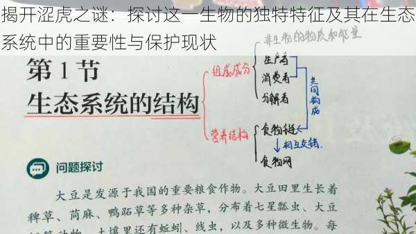 揭开涩虎之谜：探讨这一生物的独特特征及其在生态系统中的重要性与保护现状