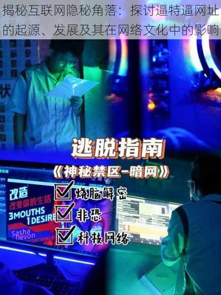 揭秘互联网隐秘角落:探讨逼特逼网址的起源、发展及其在网络文化中的影响