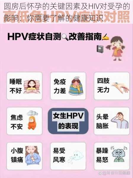 圆房后怀孕的关键因素及HIV对受孕的影响：你需要了解的健康知识